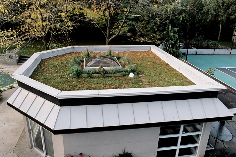 Green Poolhouse Toronto