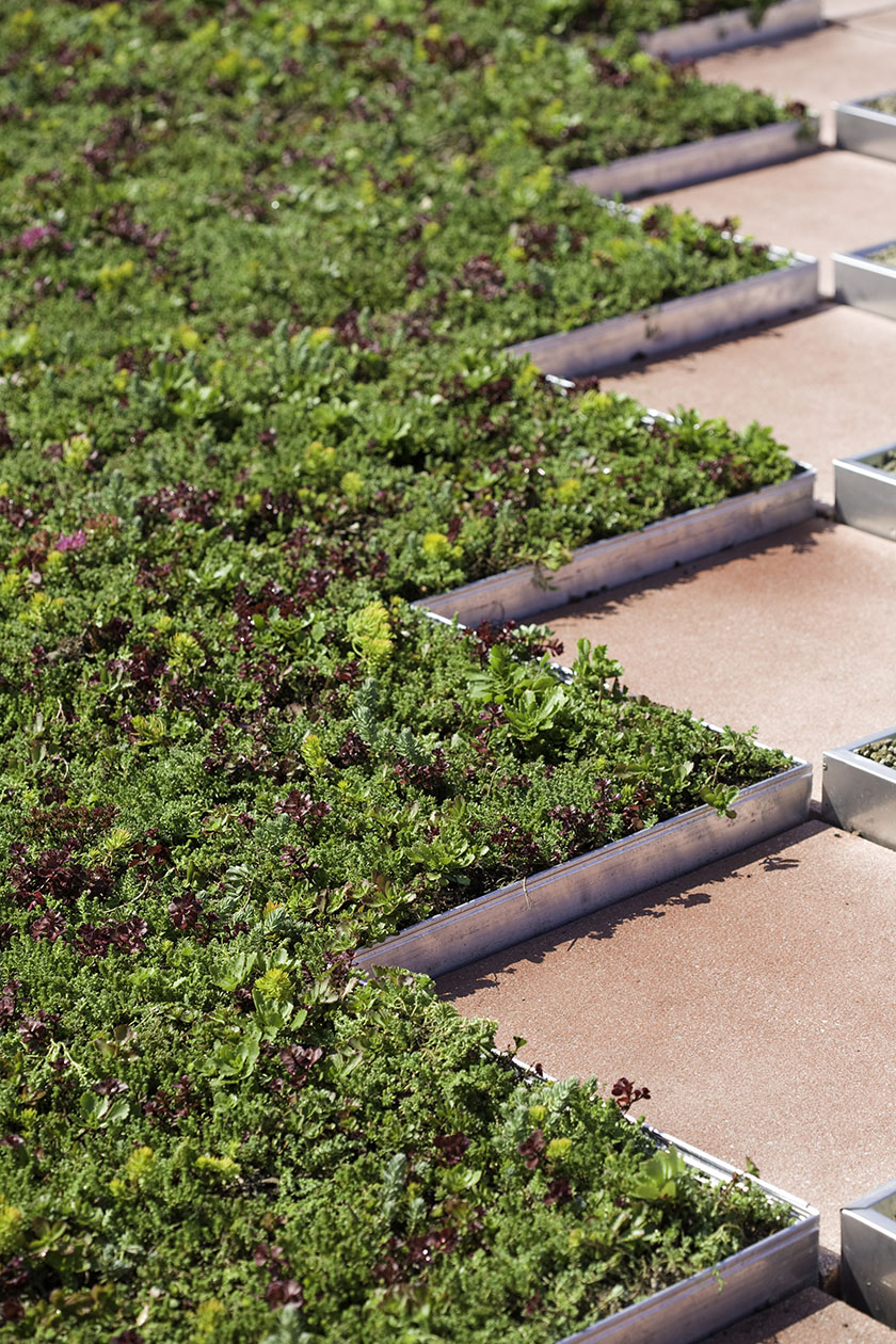 Sustainable & Green Roofing - MJ Building Envelope Solutions Inc.